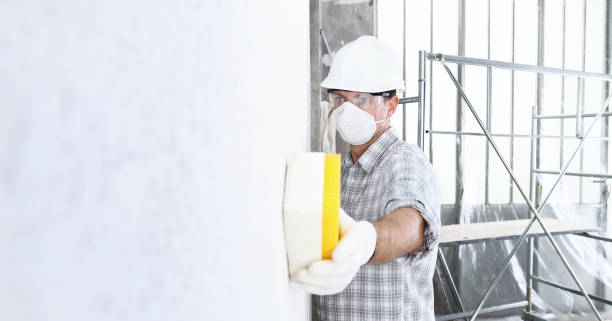 Best Mold Remediation for Rental Properties  in USA